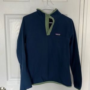 Patagonia Micro D Snap T Fleece